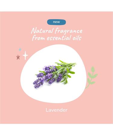 Kin+Kind Calming Waterless Bath for Dogs & Cats - Lavender, 8 fl oz (236 ml) - Buy Online on GoSupps.com