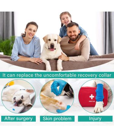 Etdane Dog Dividers for Surgery Recovery Suit | Anti-Hair Bodysuit | Long-Sleeved Pajamas for Male & Female Dogs | XL Gray - Buy Online on GoSupps.com