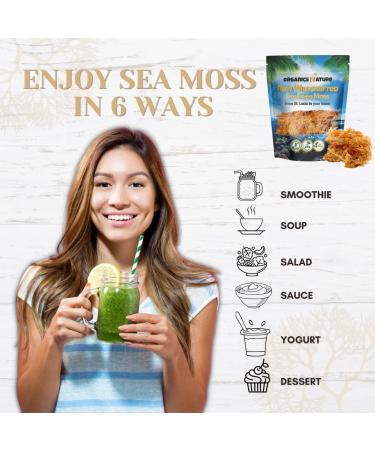 Organics Nature Supplements Organic Irish Sea Moss - Wildcrafted, Non-GMO, Gluten-Free - 4oz - Supports Bones, Joints & Immune System - Makes 5 Jars of Gel - Buy Online on GoSupps.com