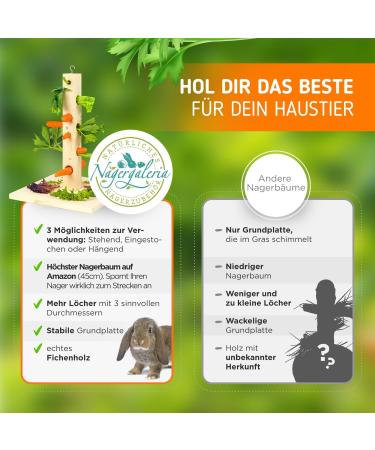 Nagergaleria Feeding Tree for Rabbits & Guinea Pigs | Outdoor Wooden Base & Ground Spike | International Shipping - Buy Online on GoSupps.com