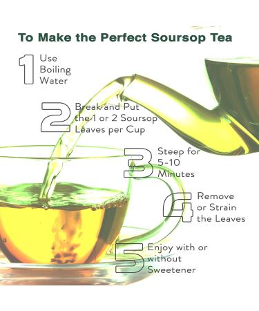 HerbLk Premium 30+ (15g / 0.5oz) Organic Soursop Dried Leaves Tea Whole Leaves Wildcrafted Graviola/Hoja De Guanabana Loose Leaf Herbal Tea - Buy Online on GoSupps.com