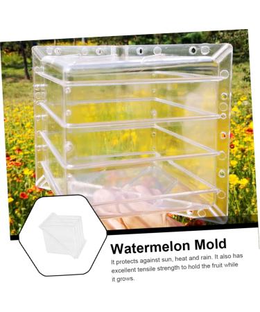 Gadpiparty Vegetables Vegetable Grow Strawberry Mold Large Moss Pole Tools Vegetable Molds Fruit Pumpkin Melon 15x15cm Transparent - Buy Online on GoSupps.com