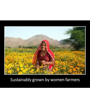 Daana Organic Mustard Oil Cold Pressed (1L) - Buy Online on GoSupps.com