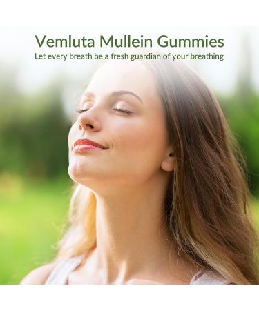 Vemluta 2 Packs 3000MG Mullein Gummies for Lung - Mullein Leaf Extract for Lungs Detox for Smokers - Quercetin with Bromelain for Respiratory Immune & Digestive Support 120 pcs Blueberry - Buy Online on GoSupps.com