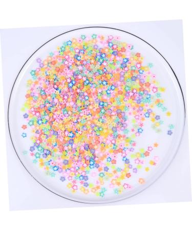 Housoutil 1000pcs Decor Cell Phone Accessories Polymer Clay Slices for Nail Manicure Tool Nail Beauty Accessories Cosmetic - Buy Online on GoSupps.com