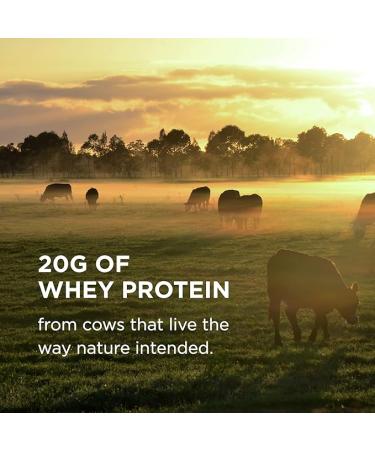 Solgar Grass Fed Whey Protein Powder Vanilla 2lb - 20g New Zealand Protein - Supports Strength & Recovery - 36 Servings - Buy Online on GoSupps.com