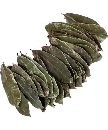 Dried Graviola Leaves Dried Soursop Tea Leaves Hojas de Guanabana 4 oz (113 G) - Buy Online on GoSupps.com