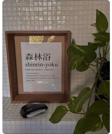 Cosmo LunaStone Gua Sha - Electric Face Massager & Body Scraper for Facial Lifting Skin Tightening & Jawline Sculpting - Premium Clear Quartz Tool in Space Black - Buy Online on GoSupps.com