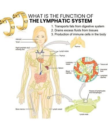 Shop Ear Acupressure Magnetic Detox Earrings | Lymphatic Drainage Therapy for Men & Women - Buy Online on GoSupps.com