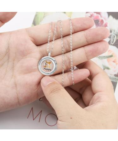 Personalised Pet Fur Locket Pendant Necklace Engraved Photo Name Stainless Steel Custom Pet Keepsake Necklace Portrait Urn Necklace Memorial Gift For Loss Love Pets silver - Buy Online on GoSupps.com
