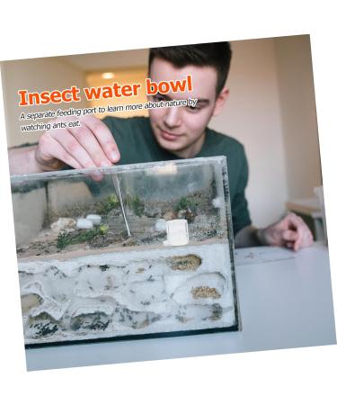 BESPORTBLE 2pcs Ant Water Feeder Mini Ant Feeder Ant Water Feeding Bowl Insect Water Feeder Transparent Acrylic - Buy Online on GoSupps.com