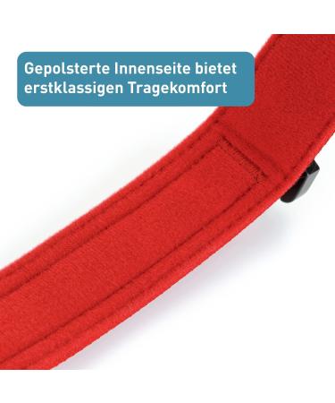 Buy Pettec Neoprene & Nylon Dog Collar Softly Padded Water-Repellent Adjustable for Small & Large Dogs Red L (51-61 cm) Durable & Comfortable - Buy Online on GoSupps.com