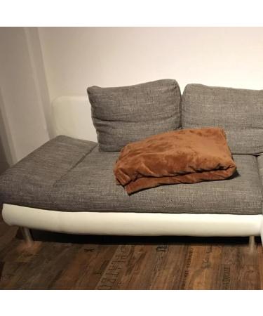 Buy Syntrox Germany Electrical Heating Blanket - 160W Thermal Back Warmer with Automatic Shutdown | Cuddly & Comfortable - Max 45 C - Buy Online on GoSupps.com