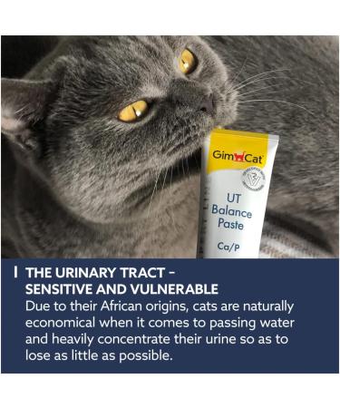 GimCat EXPERT LINE UT Balance Paste - Promotes Healthy Urine - 50g Tube - Buy Online on GoSupps.com