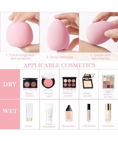 AUAUY 8 Pcs Makeup Sponge Blender Set Beauty Sponge Makeup Sponges for Foundation Multi-color Makeup Sponge Set With 1 holder 1 Storage Tank for Liquid Cream and Powder (3 Shapes) 8pcs-3Shapes - Buy Online on GoSupps.com