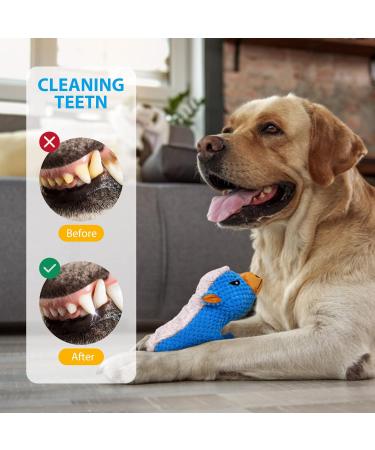 Iokheira Squeaky Dog Toys for Large Dogs | Cuddly Crinkle Plush Toys for Puppies & Medium Dogs - Deep Blue HoneyDach - Buy Online on GoSupps.com