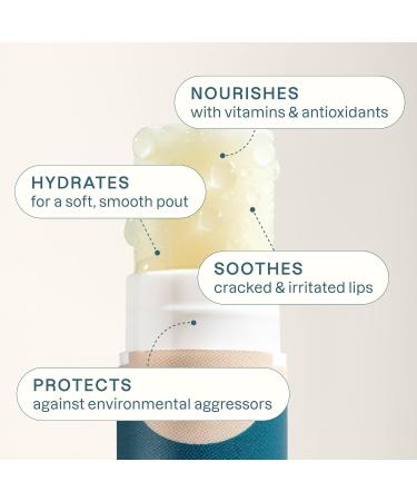 Cliganic Organic Lip Balm Set (Fresh Picked 8 Flavors) - 100% Natural Moisturizer for Cracked & Dry Lips 1 Count (Pack of 8) - Buy Online on GoSupps.com