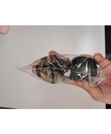 Flat Method Feeder Set - 5PC Inline Fishing Accessories with Bait Box | 20g 30g 40g 50g 60g Carp Feeder for Basic Fishing - Buy Online on GoSupps.com