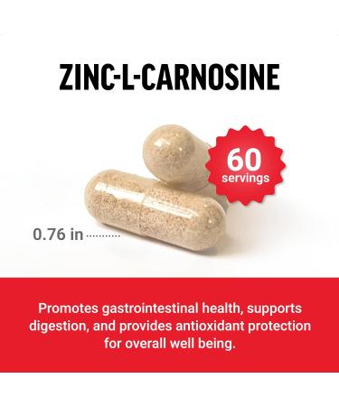 Force Factor Zinc L-Carnosine Capsules to Support Gastric and Digestive Health Digestion and Bloating Supplement Vegan Non-GMO No Gelatin 120 Capsules - Buy Online on GoSupps.com