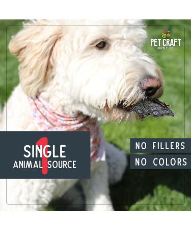 Natural Grain-Free Salmon & Liver Dog Treats - Training Treats for Puppies | Pet Craft Supply - Buy Online on GoSupps.com
