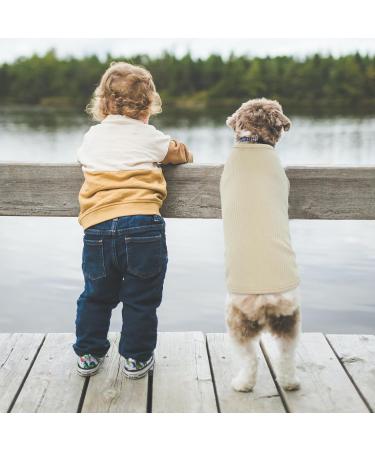 Soft Beige Dog Sweater for Small Breeds - Chihuahua French Bulldog & Pomeranian Clothes - breathable & Comfortable Vest for Puppies | XS Size - Buy Online on GoSupps.com
