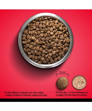 Zoe Grain Free Dog Food All Breed & Life Stages Beef with Peas & Pumpkin Recipe 5 kg Beef 5 kg (Pack of 1) - Buy Online on GoSupps.com