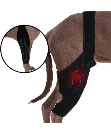 Dog Hinds Leg Support | Dog Back Leg Brace | High Elasticity Hip Support Breathable Dog Leg Protector with Metal Strip for Small Dog Hersil Black X-Small - Buy Online on GoSupps.com