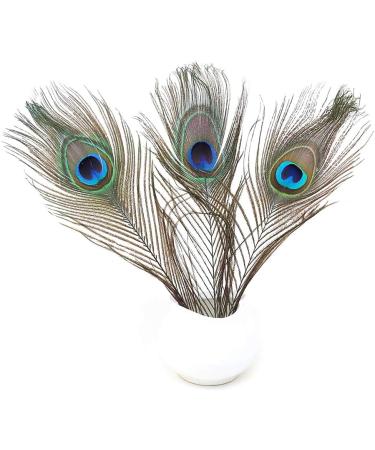12 PCS Real Natural Peacock Eye Feathers 10-12 inch - DIY Craft & Wedding Decor - Buy Online on GoSupps.com