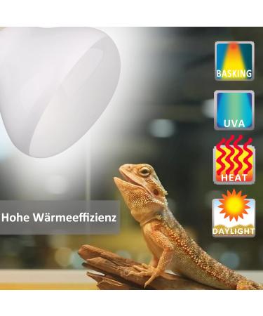 Dernord 100W Basking Thermal Ramp - Reptile Heat Lamp & Turtle Spot Light | 2 Pack Basking Bulbs for Bearded Dragons Snakes & More - Buy Online on GoSupps.com