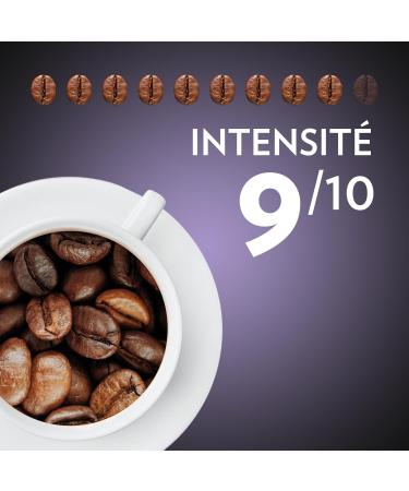 Lavazza Espresso Barista Intenso Ground Coffee 2x250g Ideal for Filter or Manual Machine with Aromatic Notes of Dried Fruit for Espresso with an Intense and Velvety Taste Robusta Intensity 9/10 500 g - Buy Online on GoSupps.com