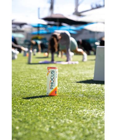 Phocus Caffeinated Sparkling Water Variety Pack - Clean Energy Drink with Caffeine and L-Theanine - 0 Sugar, Calories, or Carbs - Non GMO, Whole 30, Keto, Vegan, Kosher - 11.5 Fl Oz (12 Pack) - Buy Online on GoSupps.com