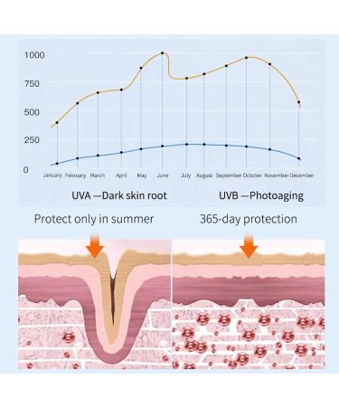 Sun Cream SPF 50 SPF 50 Face Moisturiser Face Sunscreen for Sunscreen Black and Prevent Sunburn Sunscreen SPF 50 Face Refreshing and Non-Sticky Face Sun Cream SPF 50 for All Skin Typle - Buy Online on GoSupps.com