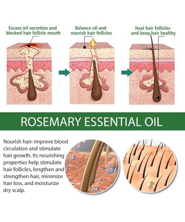 Rosemary Oil for Hair Growth Rosemary Oil for Skin Care Eyebrow and Eyelash Growth Nourishment Scalp & Dry Hair Strengthens Hair and Stimulates Hair Growth for Women Men(60 ML) - Buy Online on GoSupps.com