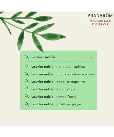 Buy Acite Esen Laurel 5ml Pranaroma - Premium Essential Oil for Healthy Living | Fast International Shipping - Buy Online on GoSupps.com