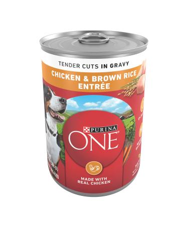 Purina ONE Dog Food 13 Ounce (Pack of 12) Chicken & Brown Rice