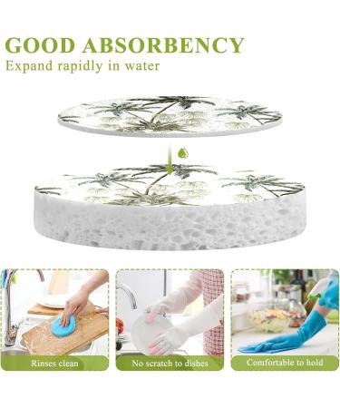 3-Pack Cleaning Kitchen Sponges Oval Tropical Vintage Palm Trees Kitchen Cellulose Dishwashing Wood Pulp Cotton - Buy Online on GoSupps.com