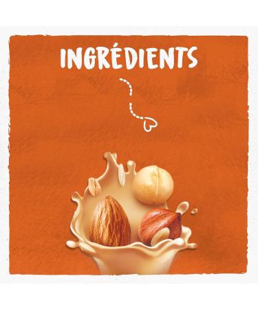 BJORG - 3 Nuts Drink - No Added Sugar - 100% Plant-Based - Mix of Hazelnuts Almonds and Macadamia Nuts - Rich in Protein - Eco-Friendly - 1L - Buy Online on GoSupps.com