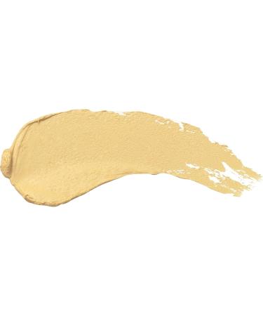 3INA Cruelty Free Makeup - Paraben-Free - The Concealer - Long Lasting - Waterproof - High Pigmentation - 5g - Buy Online on GoSupps.com