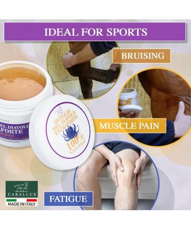 Devil's Claw Strong Gel - 100% Natural Relief for Muscles & Joints with Aloe Arborescens & Horse Chestnut - Buy Online on GoSupps.com