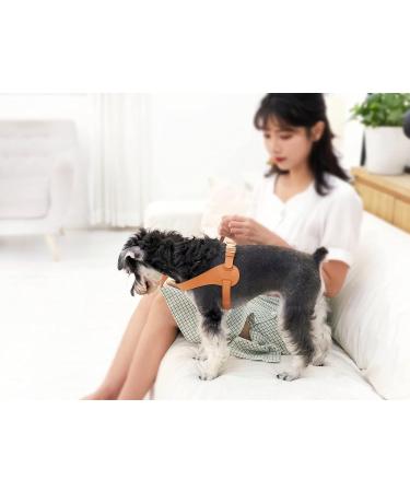 Pet Life Ever-Craft Boutique Series Large Brown Leather Dog Harness - Adjustable Designer Harness - Buy Online on GoSupps.com
