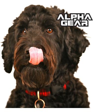 Alpha Grear Yak Cheese Dog Favourite Chews. Original All-Natural Chews for Dogs. 4 Medium Sticks Long Lasting odorless and Great for Oral Health (4 Sticks Medium) 1 count (Pack of 4) - Buy Online on GoSupps.com