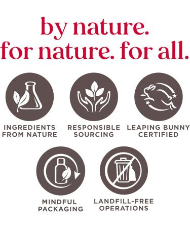 Burts Bees Freshly Picked Moisturizing Lip Balm Blister Pack for Unisex 4 x 0.15 oz Lip Balm Watermelon Sweet Mandarin Beeswax Cucumber Mint Multi-Color Freshly 1 count (Pack of 4) - Buy Online on GoSupps.com
