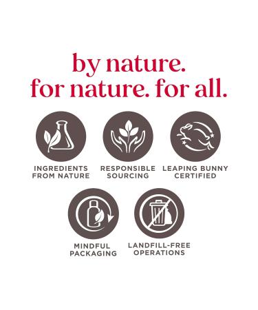 Burt's Bees Lip Balm Berry Dragonfruit Coconut & Pear Tropical Pineapple Pack & Overnight Intensive Lip Treatment - Buy Online on GoSupps.com