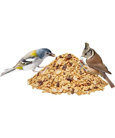 Paul's Mhle Wild Bird Fat Food - Premium Quality 5 kg Bag | International Shipping Available - Buy Online on GoSupps.com