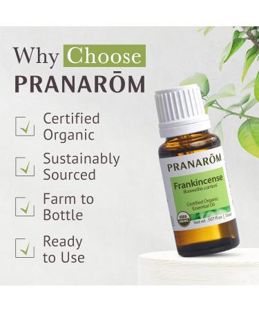 Pranarom USDA Certified Organic Frankincense Essential Oil (15ml) 100% Pure Undiluted Therapeutic Grade from Somalia for Aromatherapy Diffuser Skincare Relaxation Meditation 0.5 Fl Oz (Pack of 1) - Buy Online on GoSupps.com