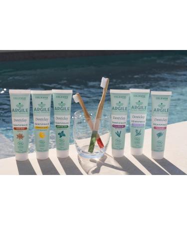  Pur Alo CIEL D'AZUR LABS - Denticlay Clay - Organic Toothpaste with White Clay and Thermal Water from Digne-les-Bains - Cosmos Organic Certified - 75ml Tube - Lemon - Buy Online on GoSupps.com