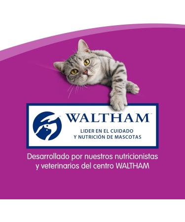 Whiskas Salmon Sticks 28x18g (504g) - Delicious Treats for Cats | International Shipping Available - Buy Online on GoSupps.com