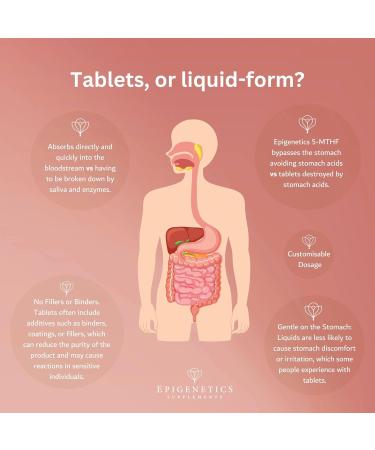 5-MTHF 100ml | 5-Methyltetrahydrofolate Vitamin B9 Liquid 1000mcg | Vegan Friendly Folic Acid | 10 Drops Daily (High Strength) - Buy Online on GoSupps.com