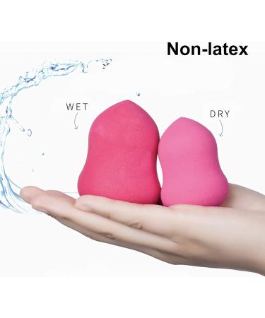 Makeup sponge beauty blender latex free makeup sponge vegan makeup sponge foundation makeup sponge makeup sponge Makeup sponge with mirrored lid and container. - Buy Online on GoSupps.com