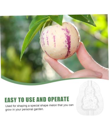 CAXUSD 3pcs Vegetable Growing Mold Small Fruit Mold Fruit Vegetable Mold Watermelon Accessories Plastic - Buy Online on GoSupps.com